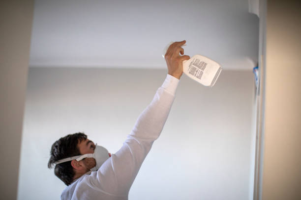 Best Preventive Mold Services in Clintwood, VA