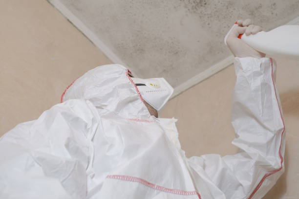 Best Attic Mold Remediation in Clintwood, VA